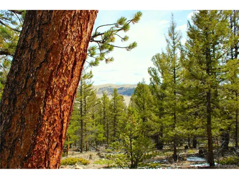 2882 Middle Fork Vis
