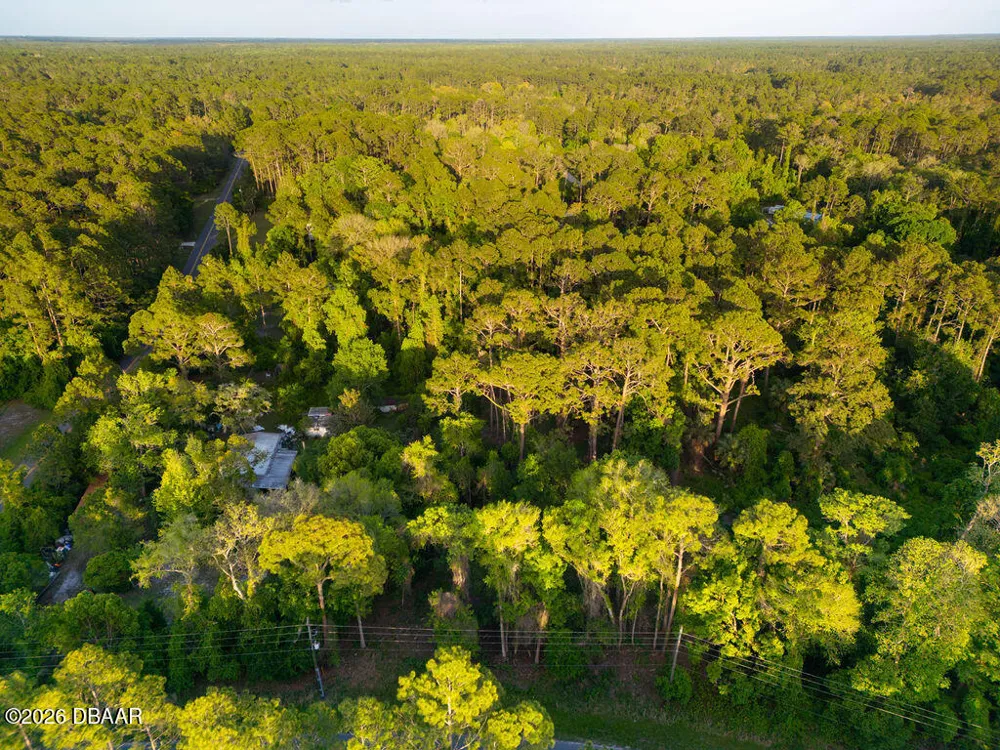 172 Whispering Pines Road Georgetown, FL 32139