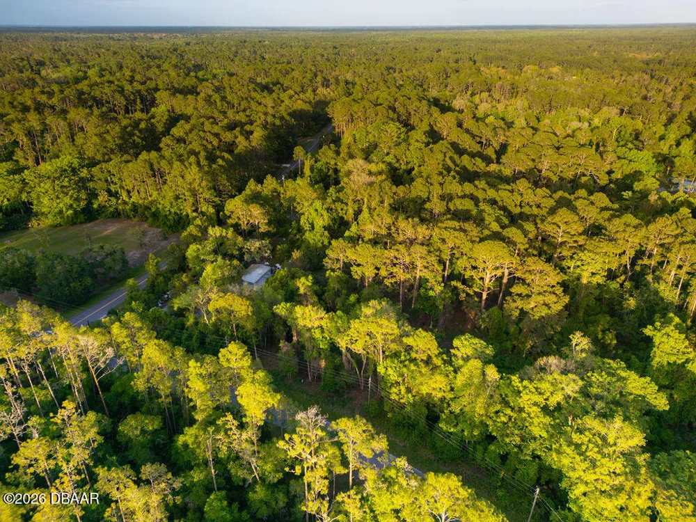 172 Whispering Pines Road Georgetown, FL 32139