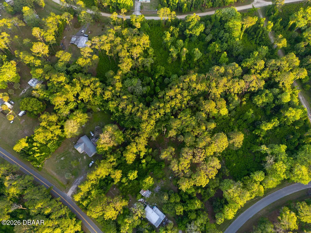 172 Whispering Pines Road Georgetown, FL 32139