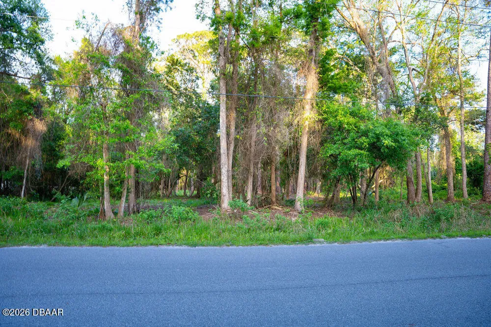 172 Whispering Pines Road Georgetown, FL 32139