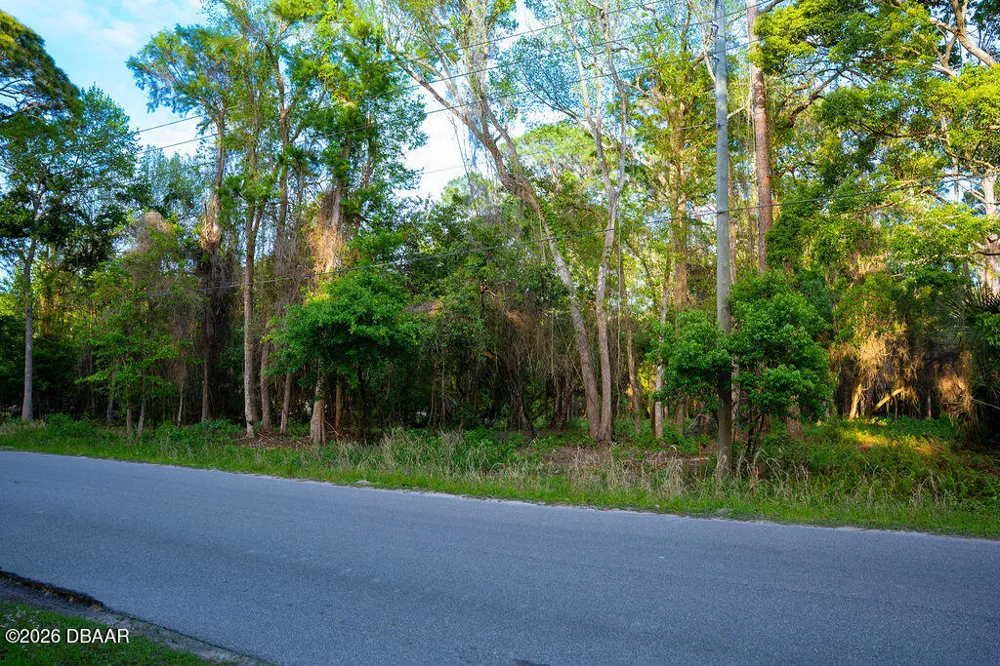 172 Whispering Pines Road Georgetown, FL 32139