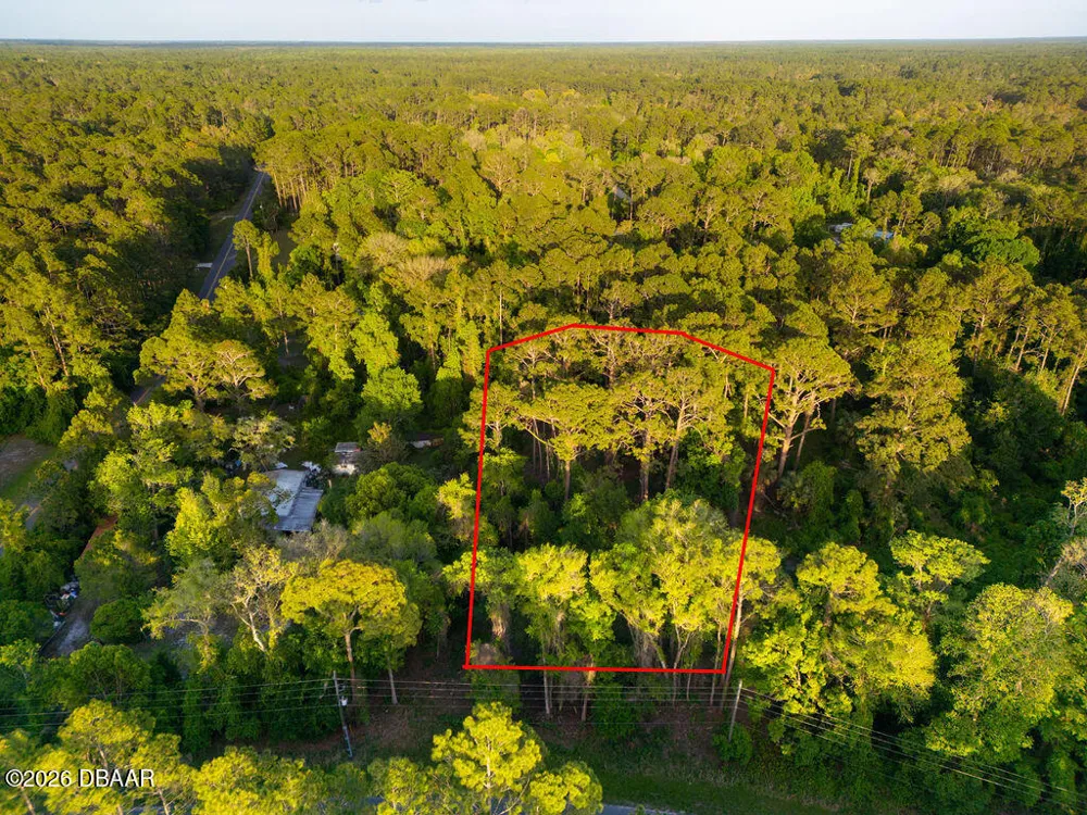 172 Whispering Pines Road Georgetown, FL 32139