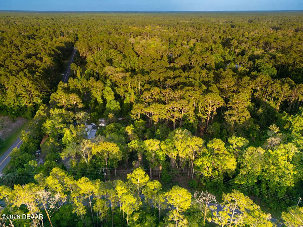 172 Whispering Pines Road Georgetown, FL 32139
