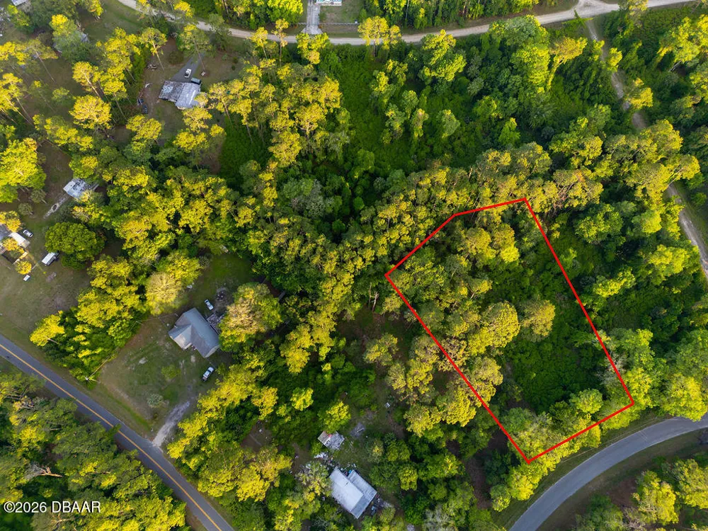 172 Whispering Pines Road Georgetown, FL 32139