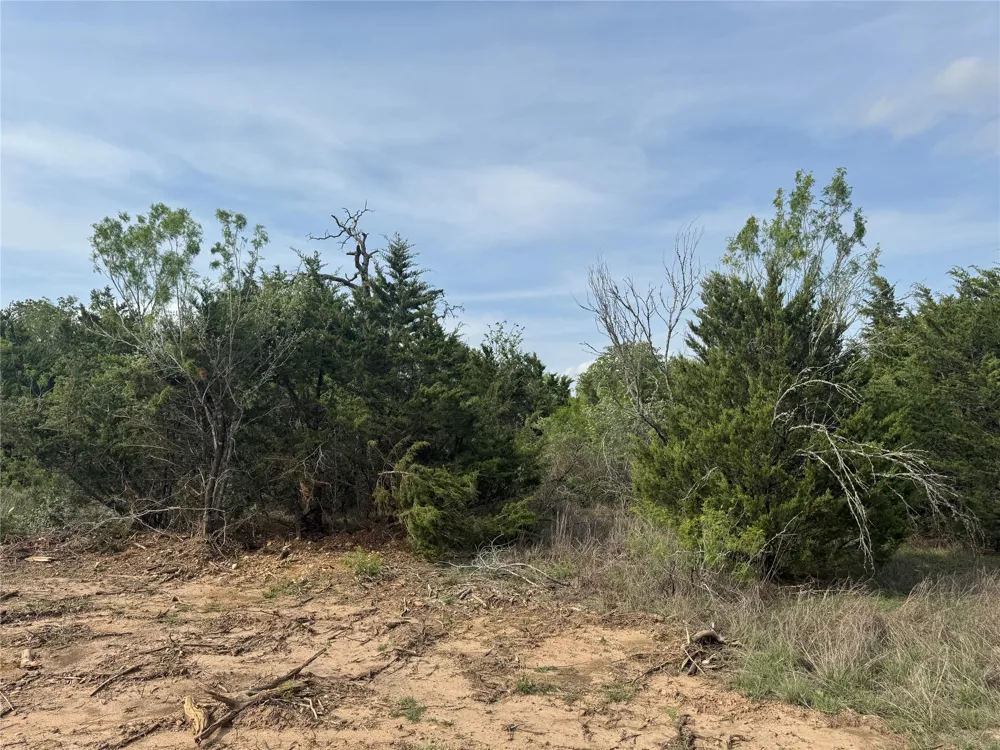 152 Della Lane Cedar Creek, TX 78612