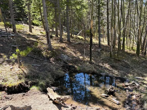 2174 Bear Gulch Road