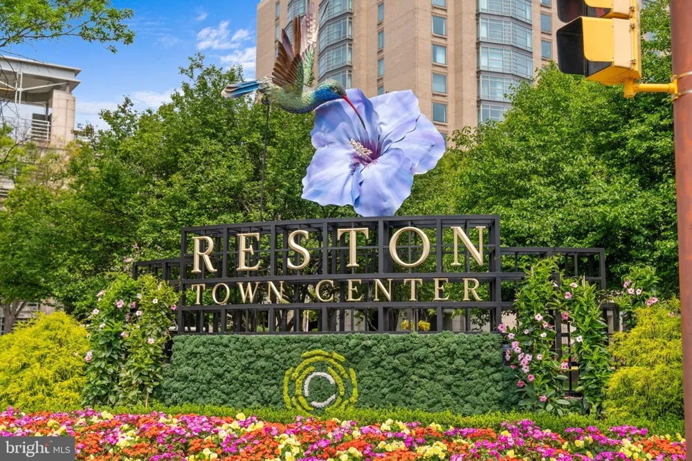 11163 LAKE CHAPEL LANE Reston, VA 20191