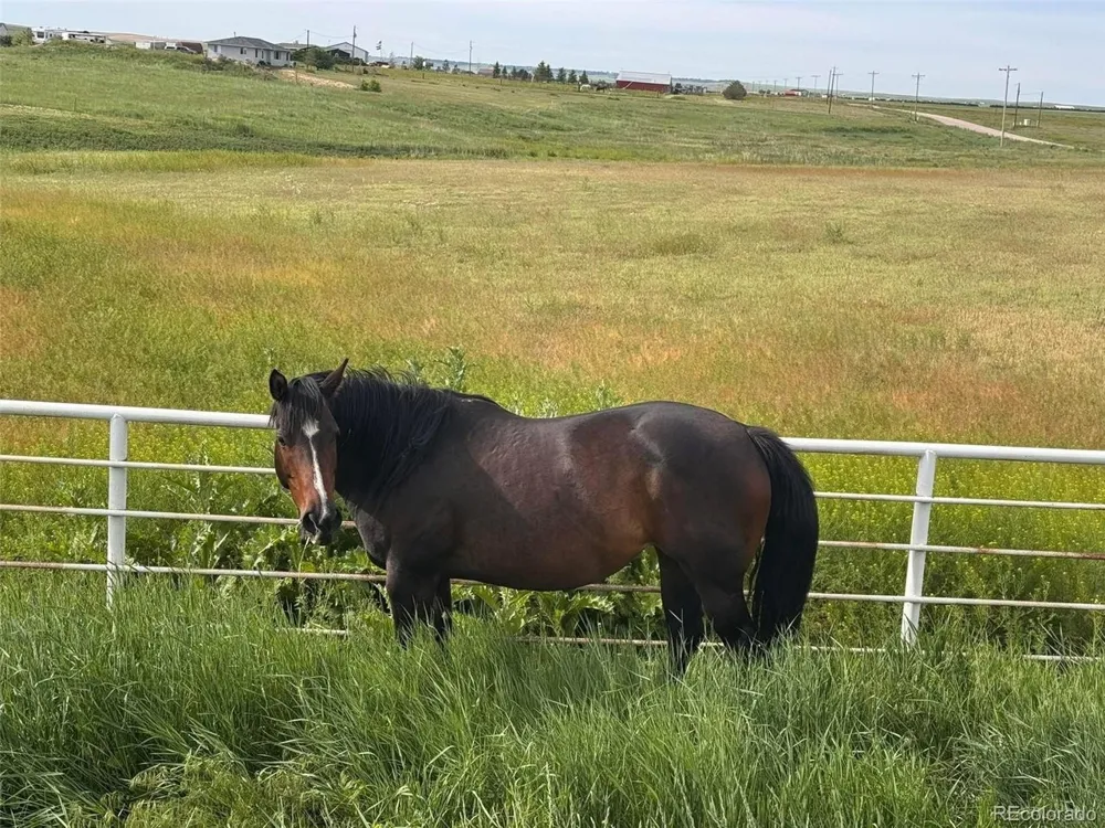 6450 County Road 181 Byers, CO 80103