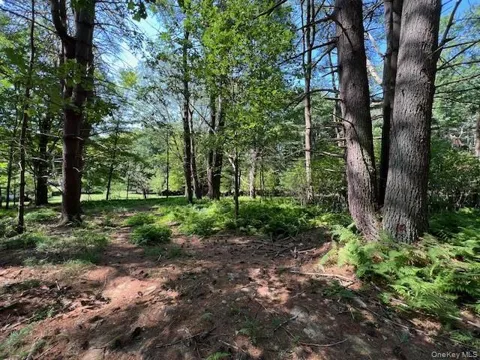 Lot 47.3 High Road