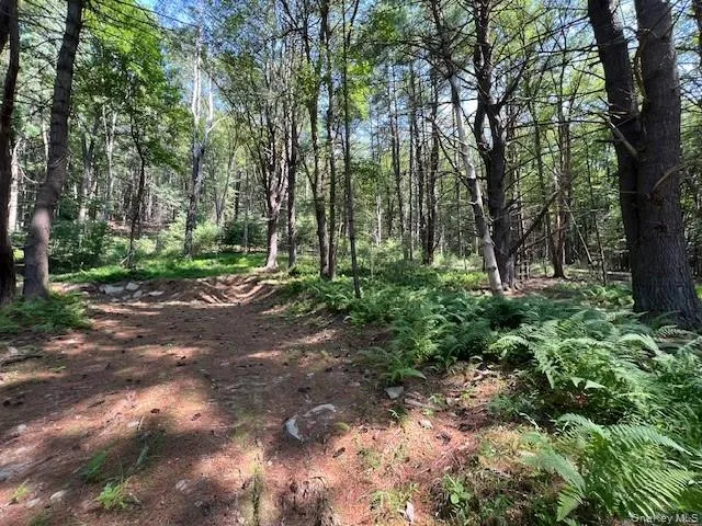 Lot 47.3 High Road Glen Spey, NY 12737
