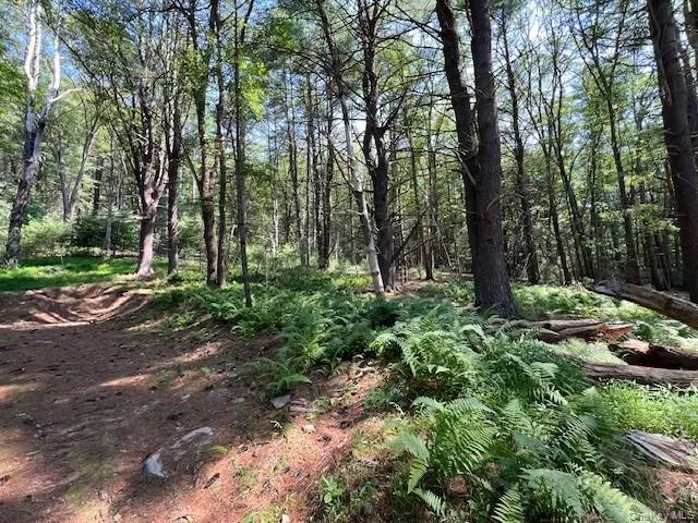 Lot 47.3 High Road Glen Spey, NY 12737