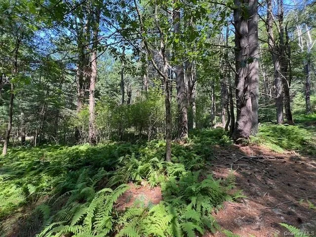 Lot 47.3 High Road Glen Spey, NY 12737