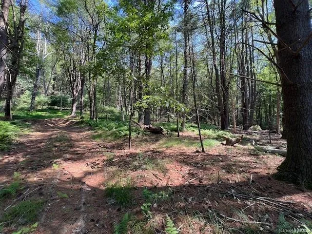 Lot 47.3 High Road Glen Spey, NY 12737