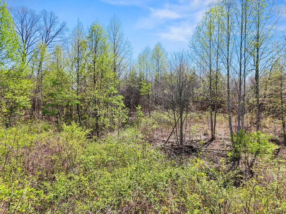 Grayson Way Signal Mountain, TN 37377