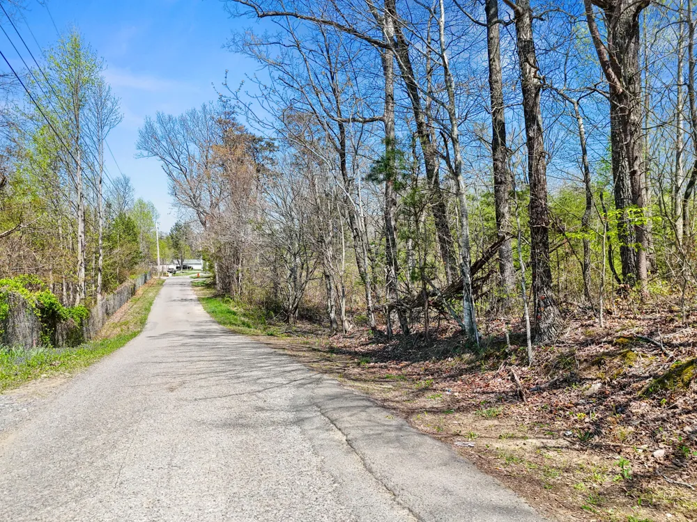Grayson Way Signal Mountain, TN 37377