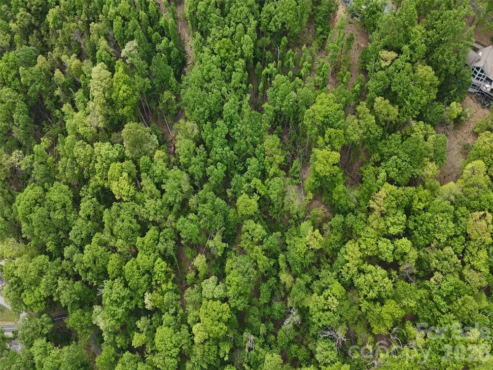 Lot #39 Poplar Drive Mills River, NC 28759