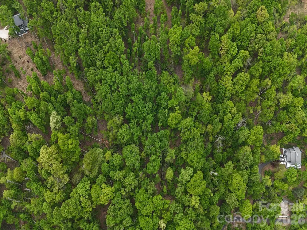 Lot #39 Poplar Drive Mills River, NC 28759
