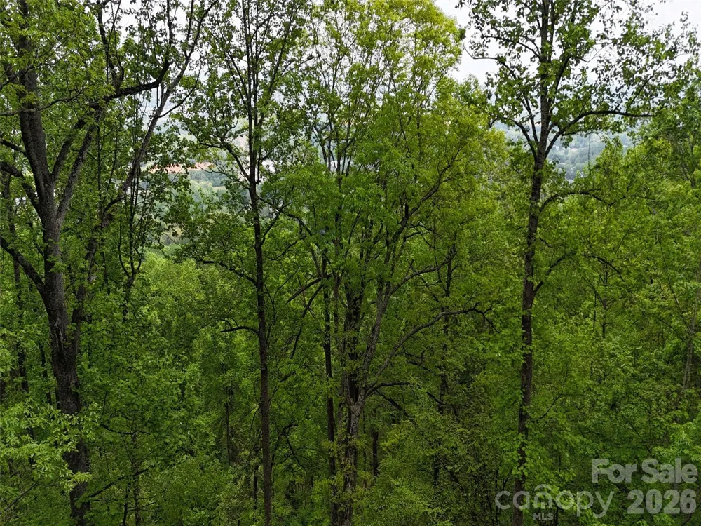 Lot #39 Poplar Drive Mills River, NC 28759