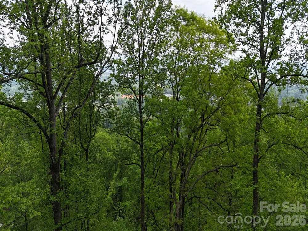 Lot #39 Poplar Drive Mills River, NC 28759