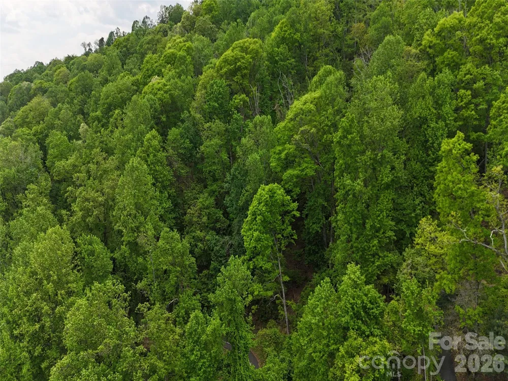 Lot #39 Poplar Drive Mills River, NC 28759