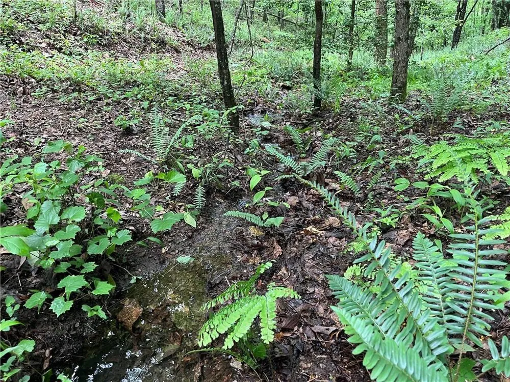 1720 Rebekah Ridge Road Talking Rock, GA 30175