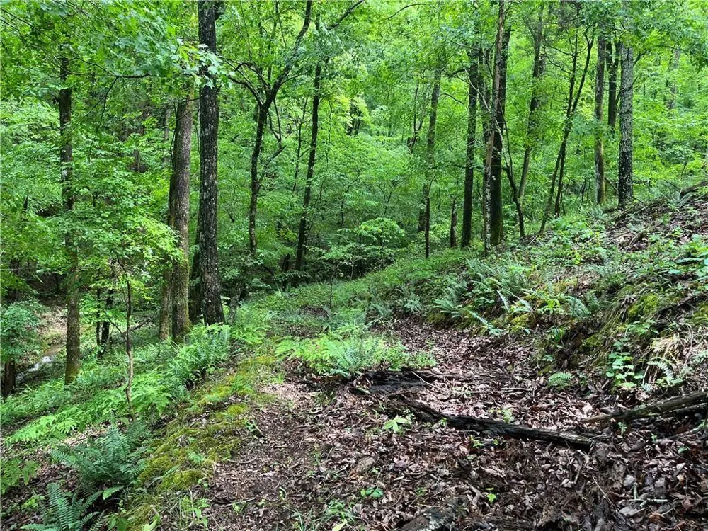 1720 Rebekah Ridge Road Talking Rock, GA 30175