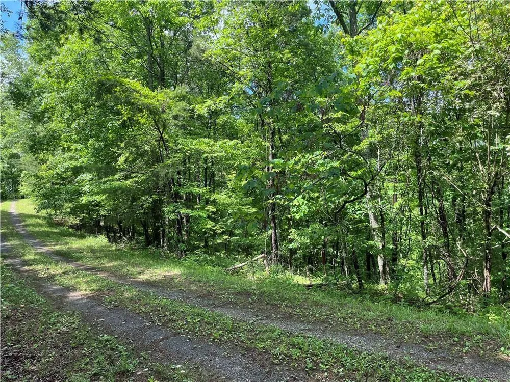 1720 Rebekah Ridge Road Talking Rock, GA 30175