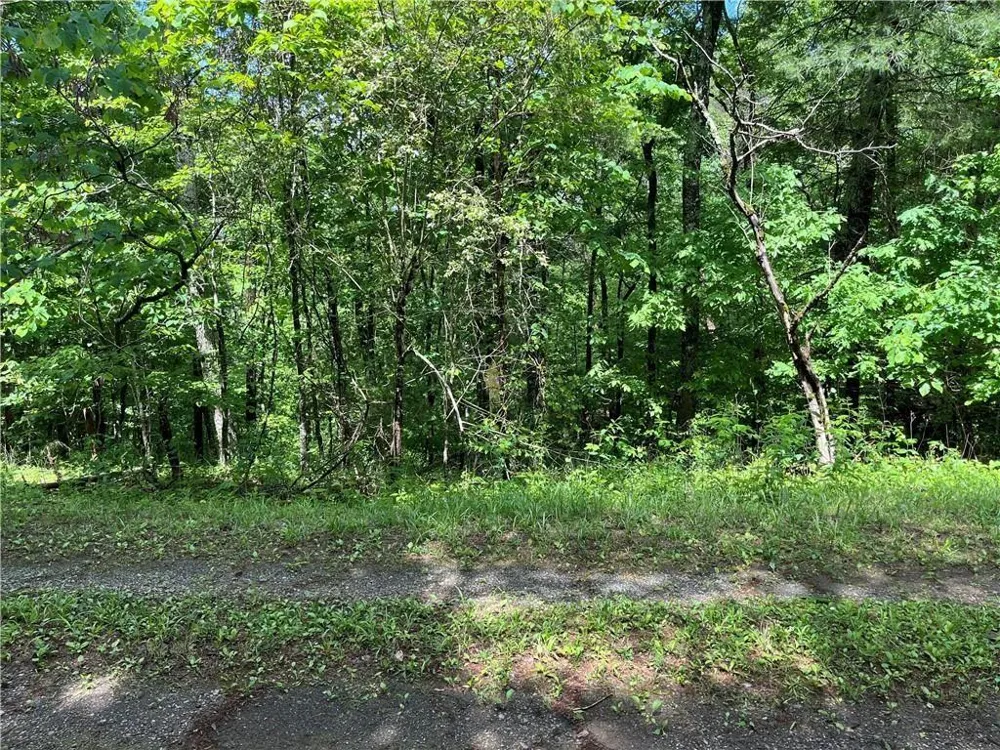 1720 Rebekah Ridge Road Talking Rock, GA 30175