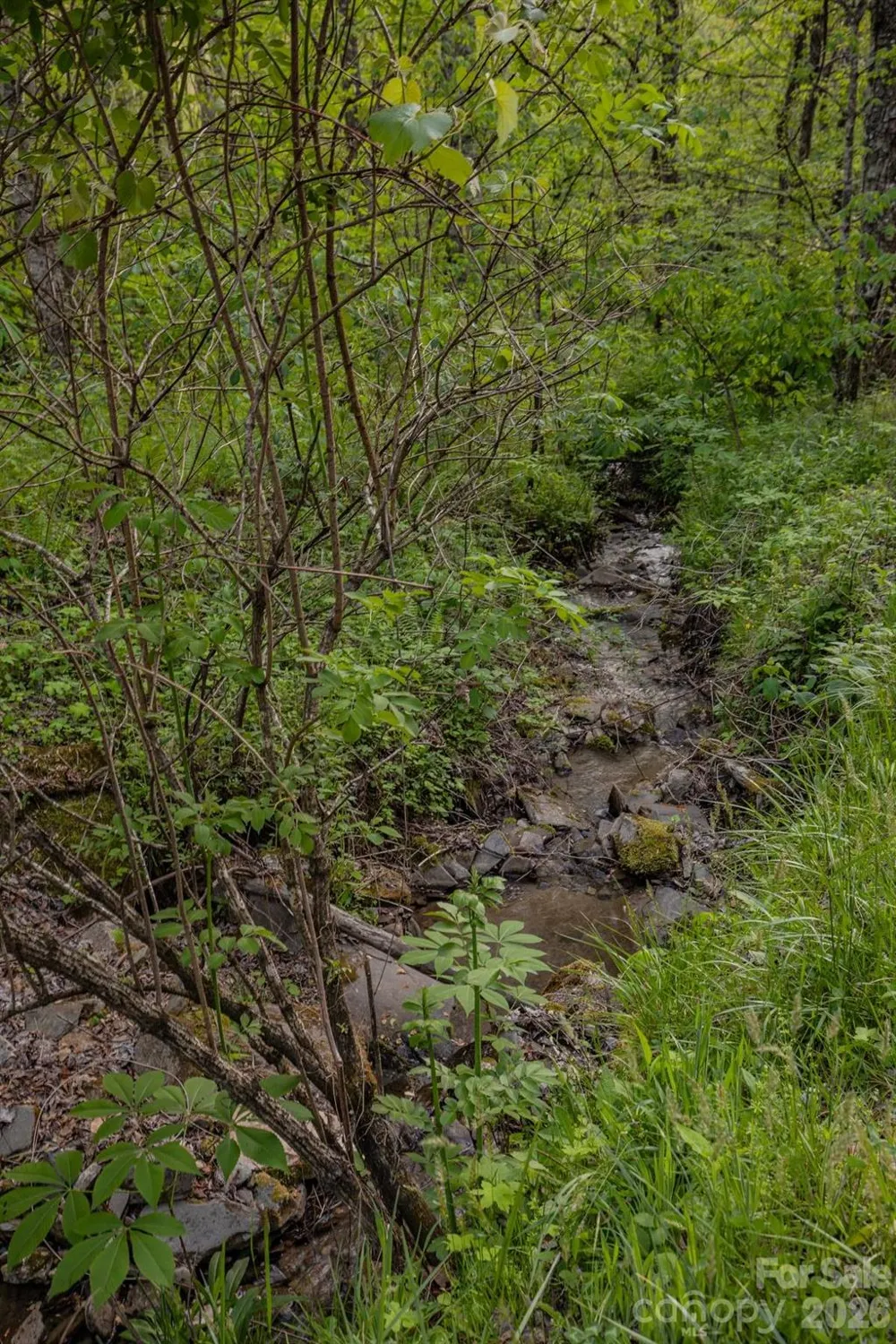 000 Unahala Creek Drive Bryson City, NC 28713