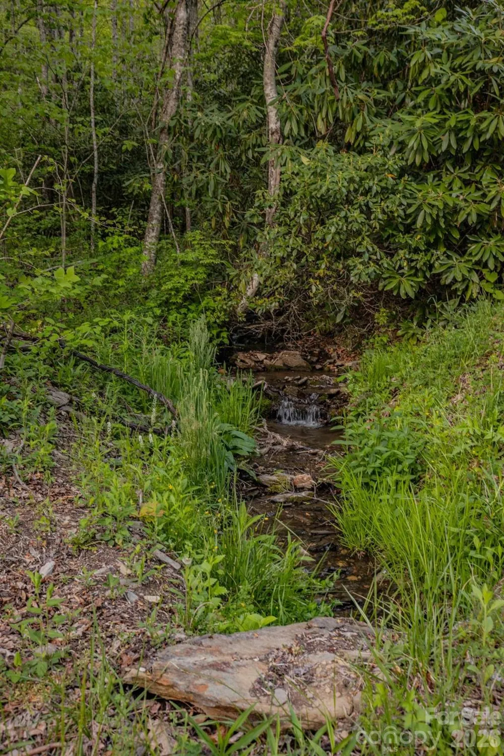 000 Unahala Creek Drive Bryson City, NC 28713