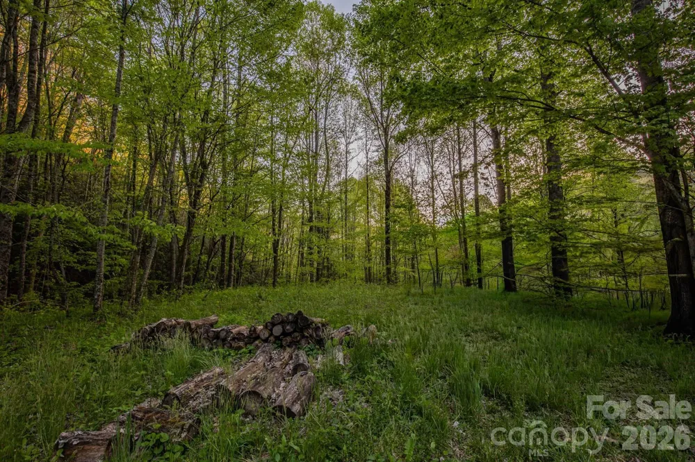 000 Unahala Creek Drive Bryson City, NC 28713