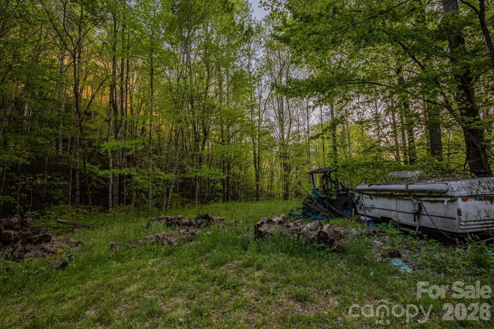 000 Unahala Creek Drive Bryson City, NC 28713
