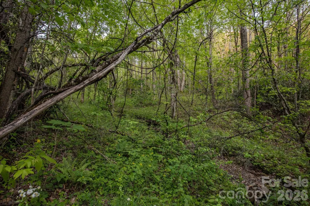 000 Unahala Creek Drive Bryson City, NC 28713
