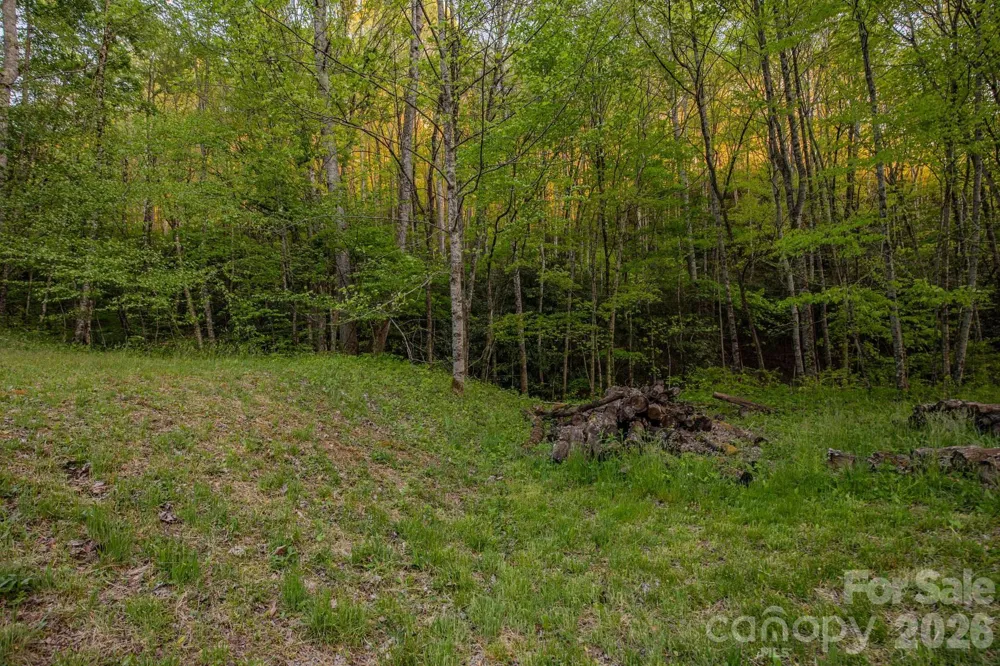 000 Unahala Creek Drive Bryson City, NC 28713
