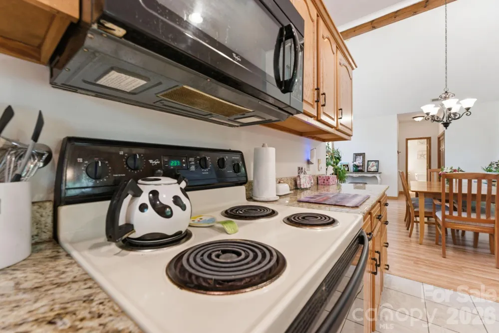24 Pine Bluff Lane #17 Whittier, NC 28789