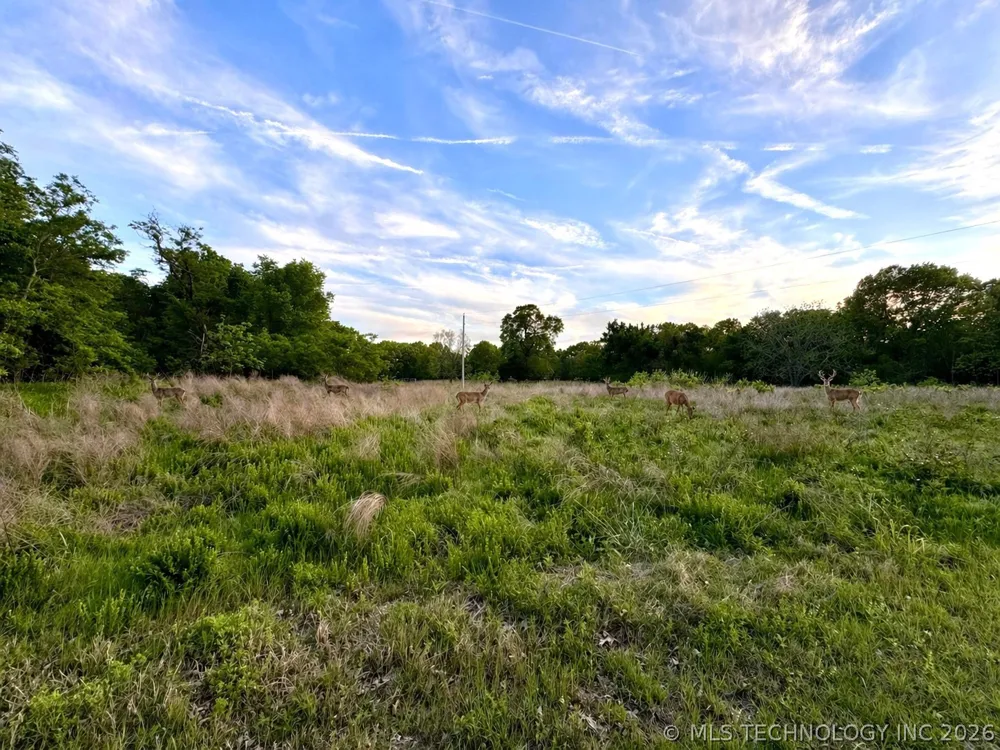 9270 E 420 ROAD Strang, OK 74330