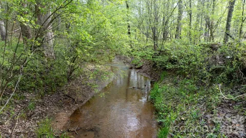 0 Flowing Ivy Lane #8