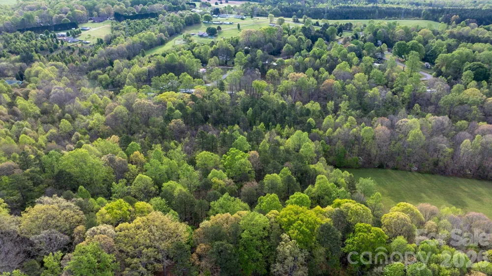 0 Flowing Ivy Lane #8 Claremont, NC 28610