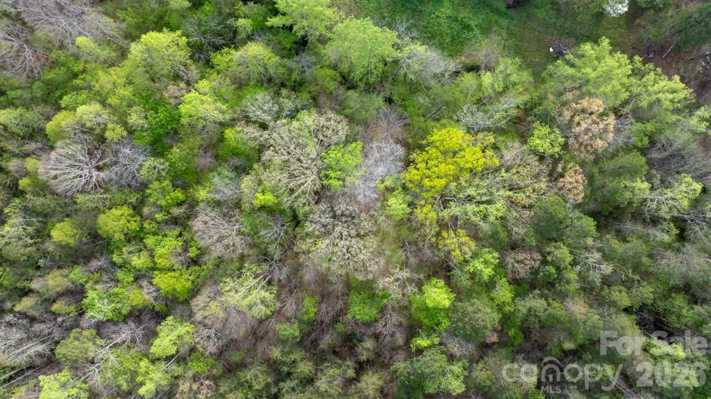 0 Flowing Ivy Lane #8 Claremont, NC 28610