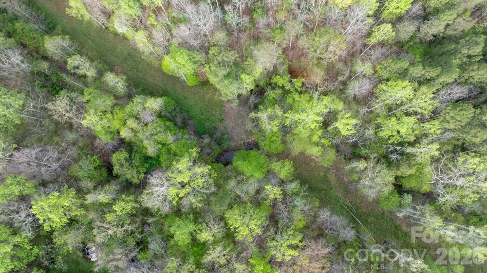0 Flowing Ivy Lane #8 Claremont, NC 28610
