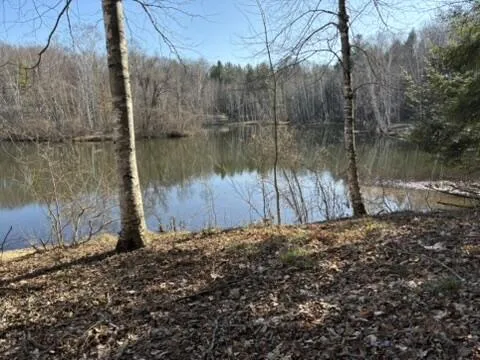 811 Miramichi Drive Evart, MI 49631