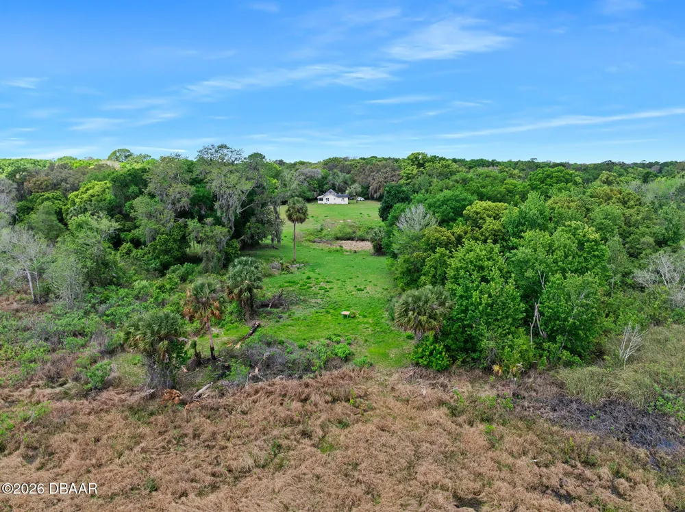 141 Pine Street Pierson, FL 32180