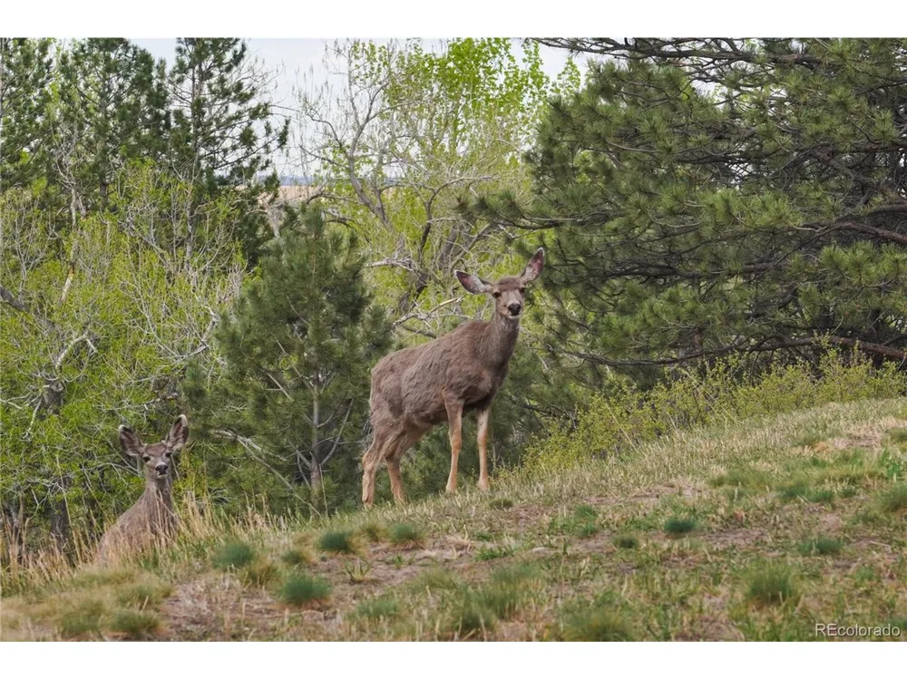 2846 Middle Fork Road Boulder, CO 80302