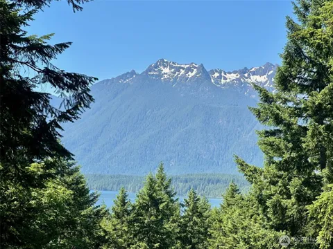 5154 Lake Cushman Road
