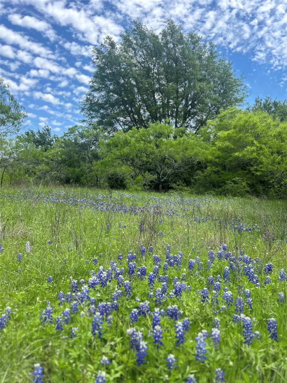 Private Road 190 Blum, TX 76627