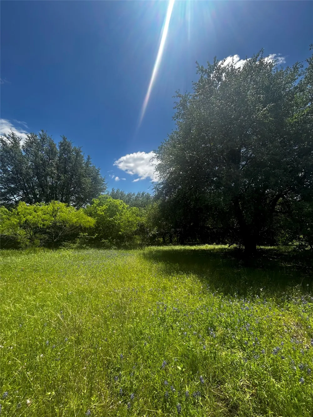 Private Road 190 Blum, TX 76627