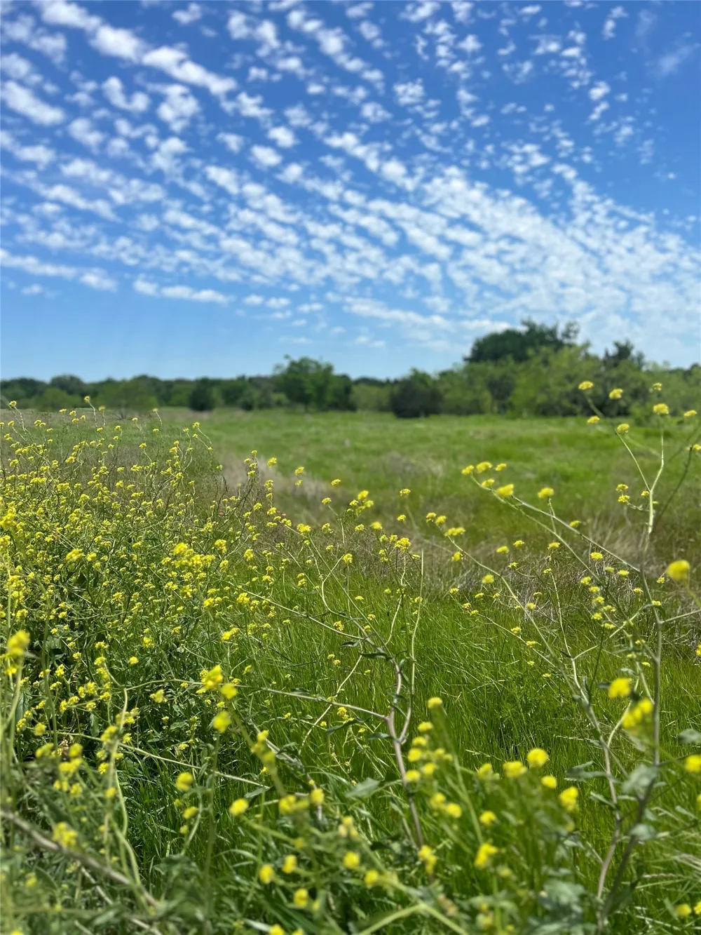 Private Road 190 Blum, TX 76627