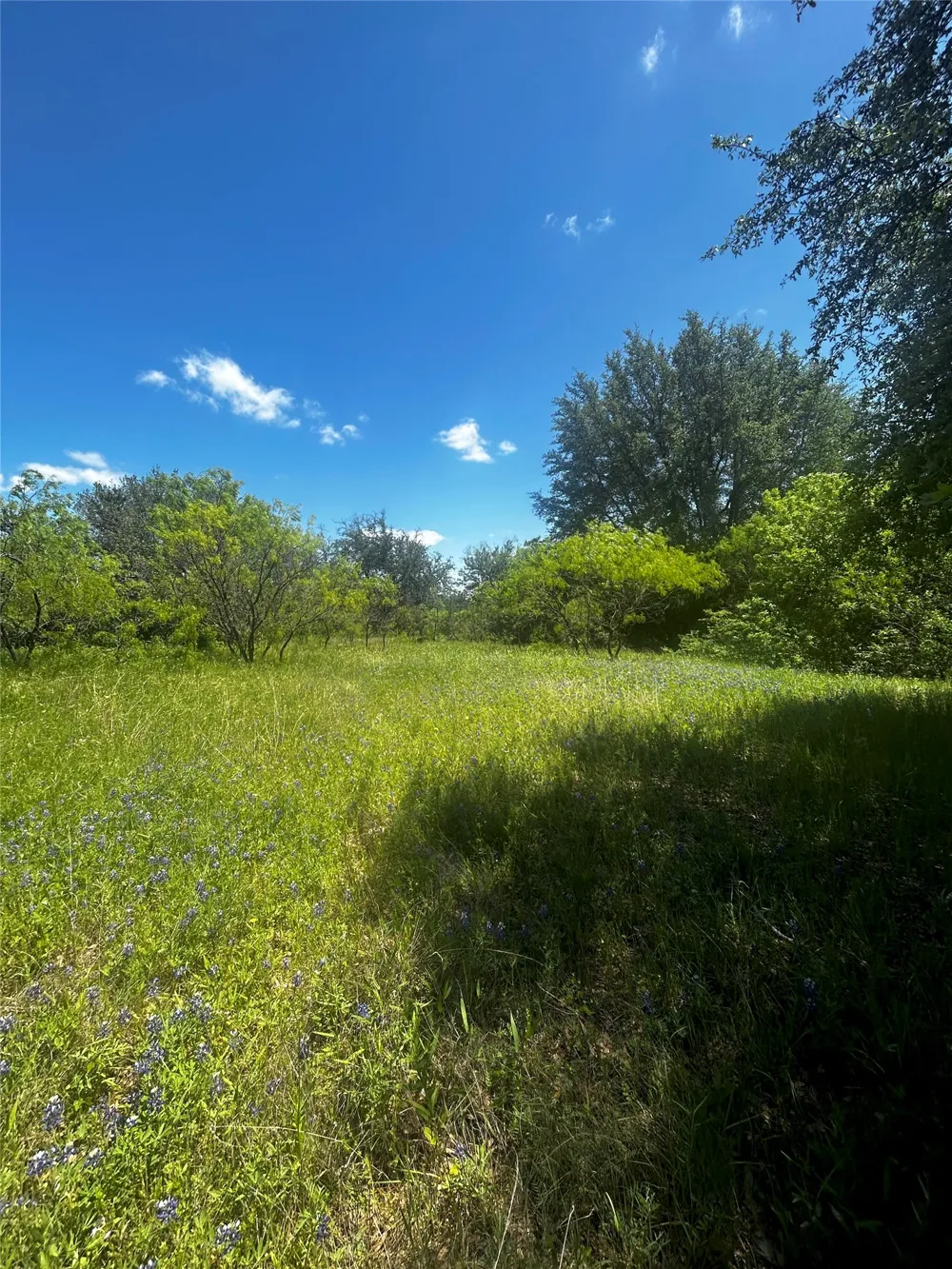 Private Road 190 Blum, TX 76627