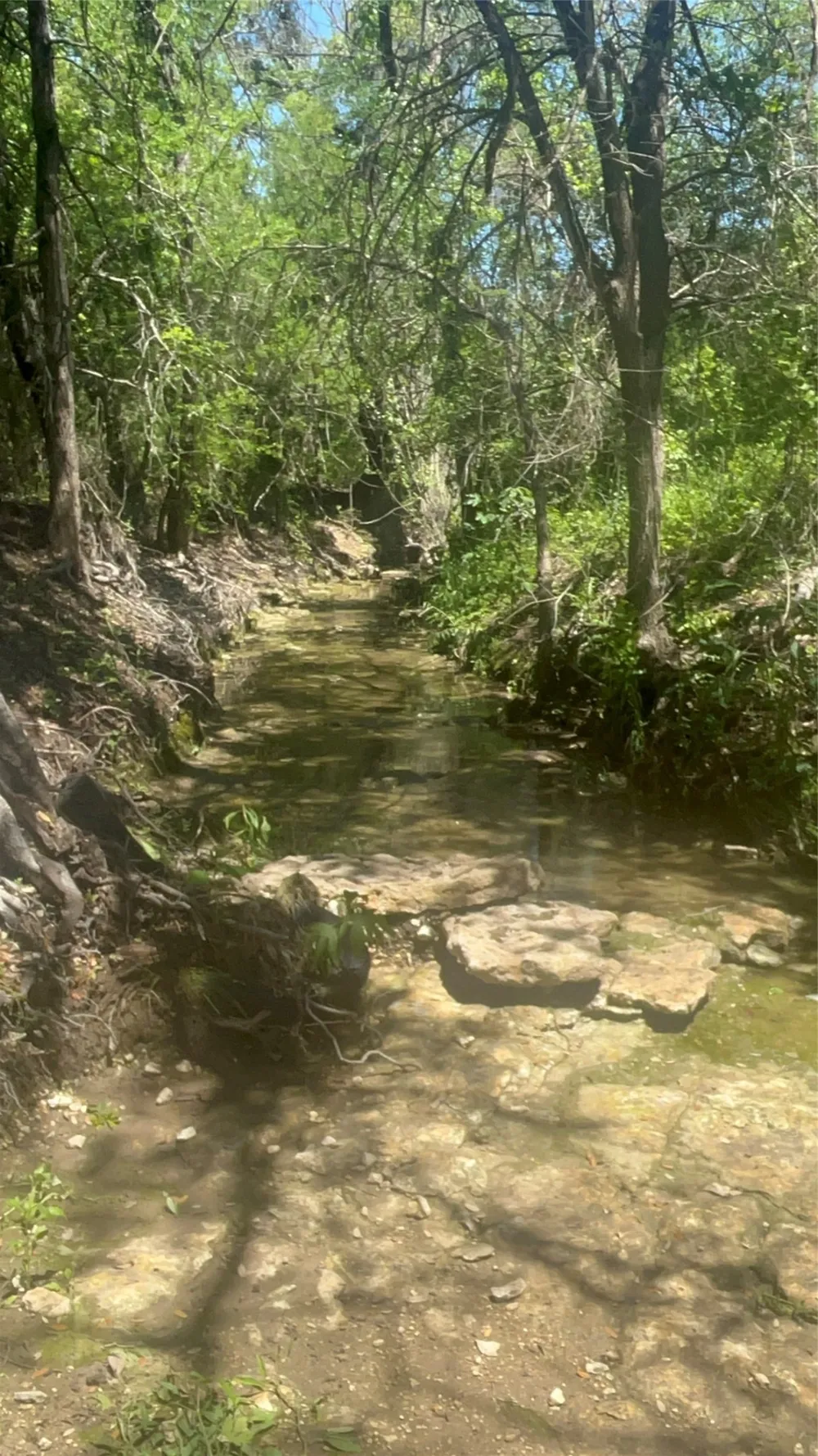 Private Road 190 Blum, TX 76627